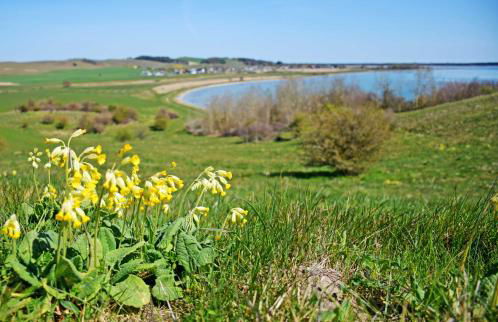 Hoeft Residenz Alt Reddevitz - Foto 37