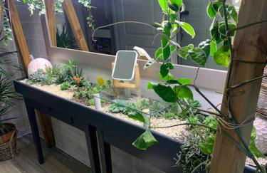 Gite à la ferme avec jacuzzi et piscine chauffée - Foto 13