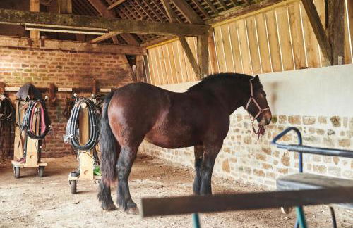 Ferme de Franqueville - Foto 28