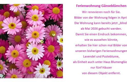 Haus Blumenglück 2 - Foto 15