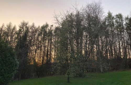 PentArtHouse - Foto 71