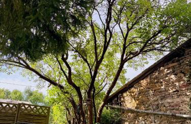NAO Eifelhaus von 1875 mit Garten - Foto 32