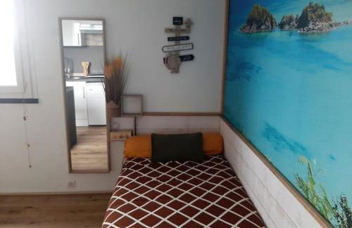 Songe Tropical-InvIRI. Studio CHU. Parking Aisé. - Foto 7