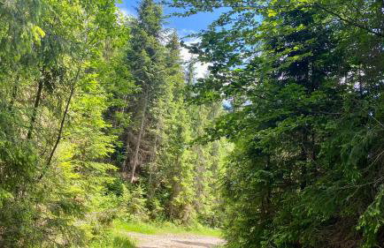 Apartamenty w Maniowach - Foto 48