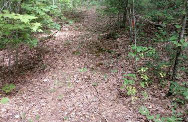 Cozy Bunkhouse for Two Nestled in the Trees near Graysville, Tennessee - Foto 9