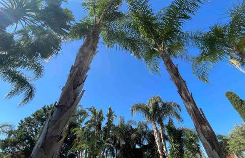 VillaLietta - Foto 21