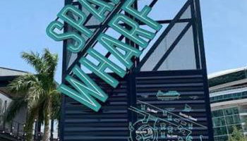 Home away from Home Near Ybor City, Cruise Port, and Downtown Tampa - Foto 2