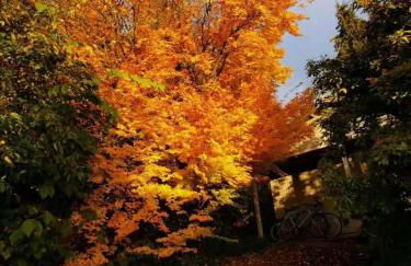 Treeside woodhouse - Foto 58