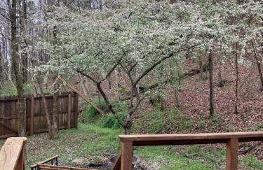 Woodhaven, darling romantic cabin, ATV trails, Mena, AR - Foto 8