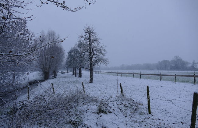 Apartment Near the Belgian Border - Photo 64