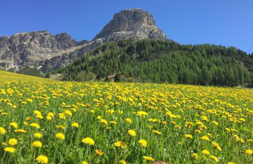 Residence Ciasa Dl Mone - Foto 11