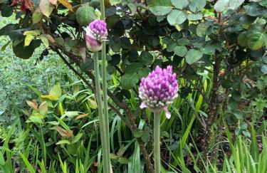 The Old Cheese Press, Eckington - Foto 50