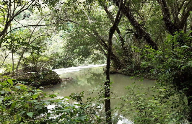 Paicol Day Trip + Caving in the Caja de Agua Cave - Photo 1