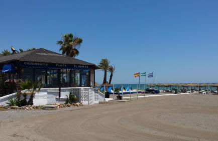 Villa Manzanilla, Malaga - Photo 60