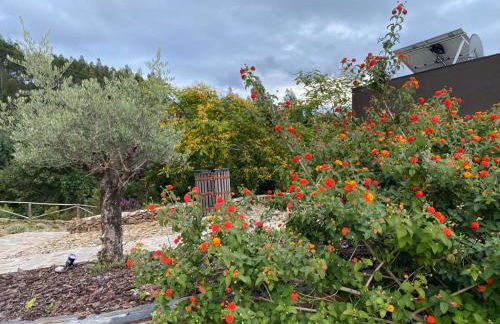 Medronho D'Ouro bungalows - Foto 50