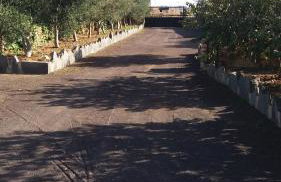 Agroturismo La Gayria - Foto 21