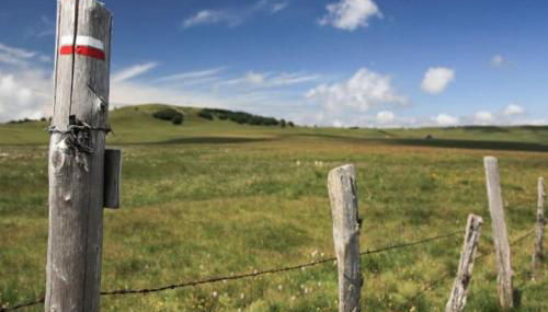 Appart T4 85m2 spacieux climatisation parking - Photo 2