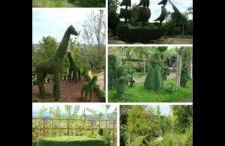 Naturaleza en el pantano de San Juan - Foto 31