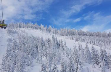GÓRSKA CISZA - Duży, komfortowy, wyjątkowy Apartament - Foto 43