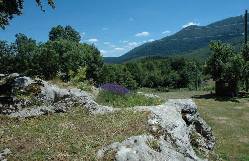Apartman Juka - Foto 10