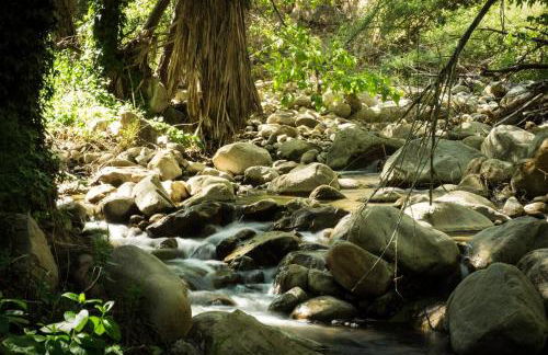 Vintage RV Creekside Nature Retreat near Ojai next to Swim Holes Hike - Foto 27