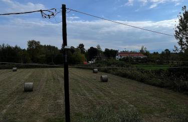 Η Αυλή - Photo 59