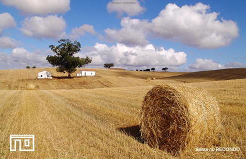 Casinha de Montoito - Foto 71