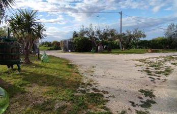 La Fattoria dei Desideri - Foto 10