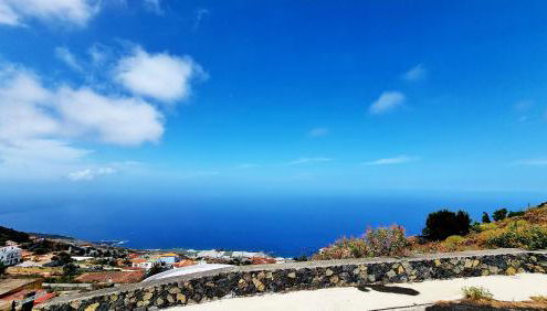 El Níspero - Foto 3