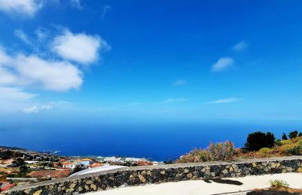 El Níspero - Foto 3