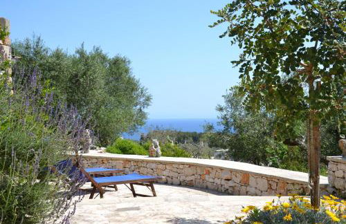 Pajara Rugiada - Foto 6