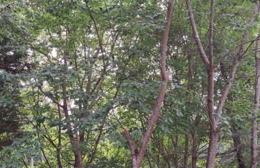 Beautiful Beach Boutique - Foto 39