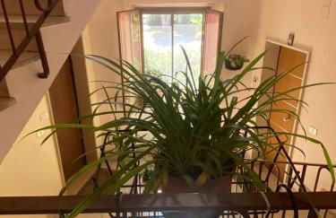 Casetta al mare - Foto 29