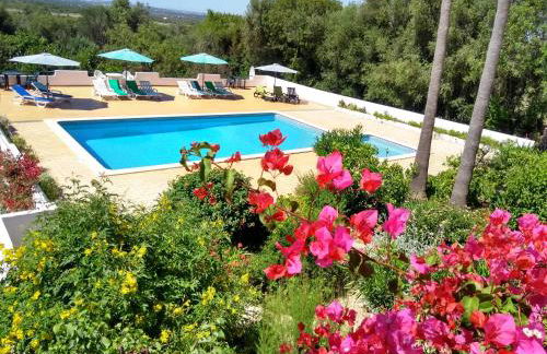 Feliz Apartments - Foto 1