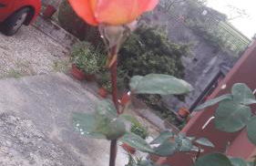 Residenza Letizia - Foto 30