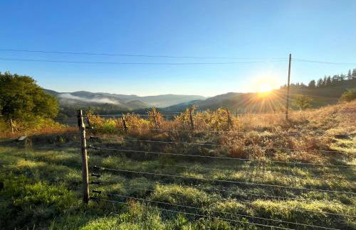 Chianti dreaming in Radda - Foto 61