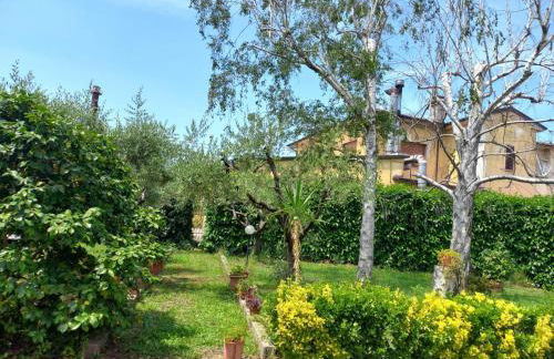 La Casa dell'Olivo - Foto 24