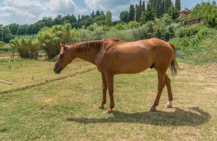 Casa Elia 4 2 in Palazzone - Foto 86