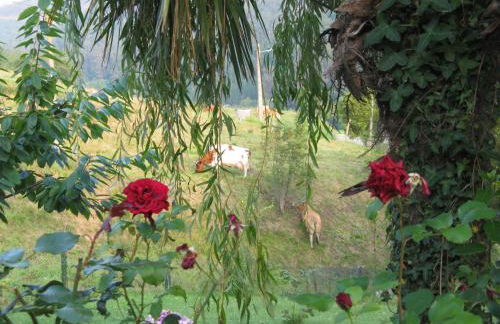 Apartamentos Rurales Casa El Caminero - Foto 16