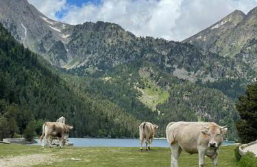 Bonic d´Àneu - Photo 17