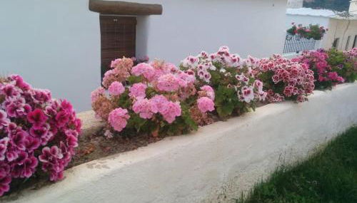 Casa Las Alacenas, Bubión (La Alpujarra, Granada) - Photo 5, Garden
