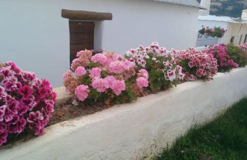 Casa Las Alacenas, Bubión (La Alpujarra, Granada) - Photo 5