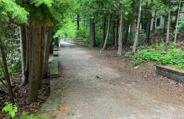 Stylish Trailside TC Condo - Foto 38