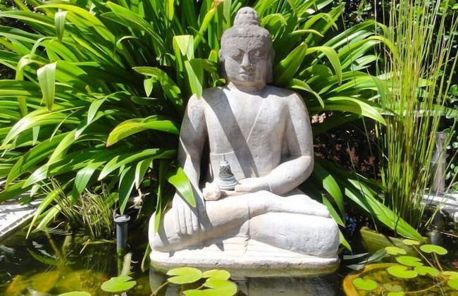 Vatu Sanctuary - Foto 10