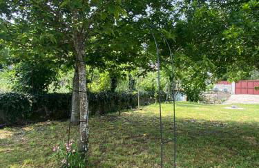 Casa Sequeira de São José - Gerês - Foto 10