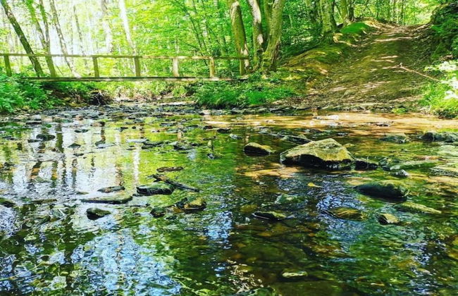 Chalet in Olloy-sur-viroin With Patio - Foto 41