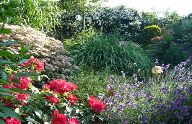 Holiday Apartment Caspari in Winterberg - Foto 19