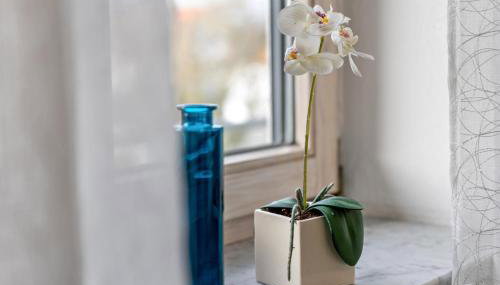 Ferienwohnung Hobmaier - Foto 5