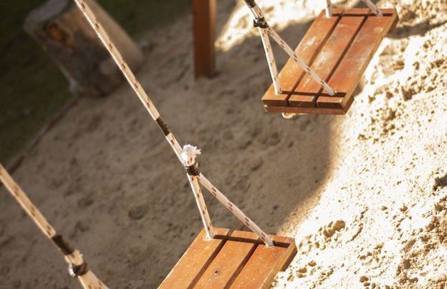 Olivos de Monte - Foto 54