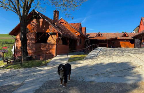 Agro Ranczo - Domek na wynajem - Foto 1